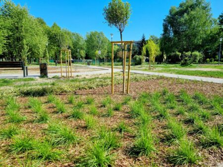 skwer_andersa_maczka